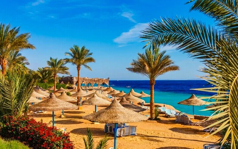 Explore the best Egypt Sightseeing Tours 47 best egypt sightseeing tours