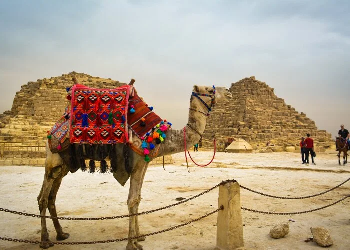 5 Days Cairo Tour Package – Best Short Vacation