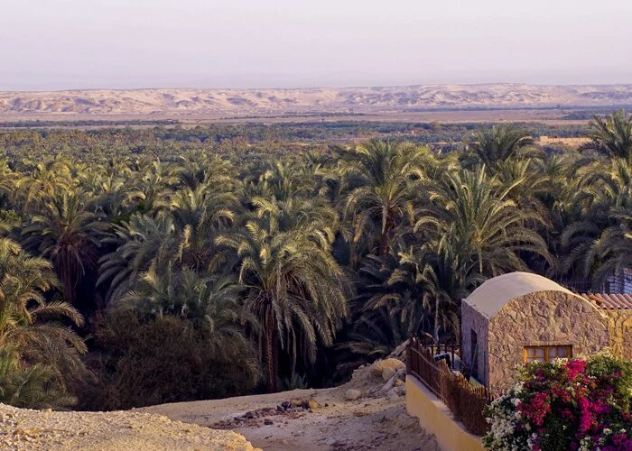 Siwa Tours From Cairo