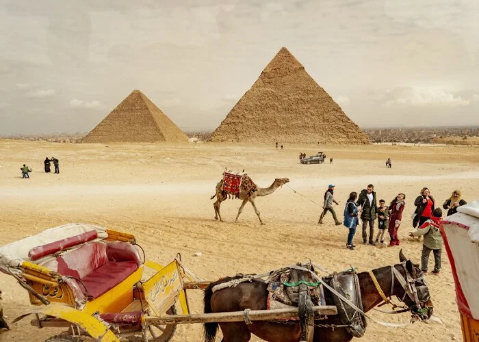 Egyptian Museum and Giza Pyramids Tour