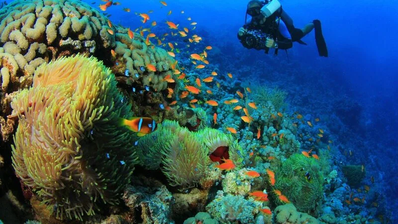 Explore the best Egypt Sightseeing Tours 48 best egypt sightseeing tours