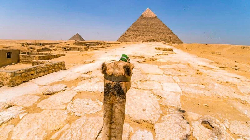 Things To Know About Luxor Excursions 13 Things To Know About Luxor